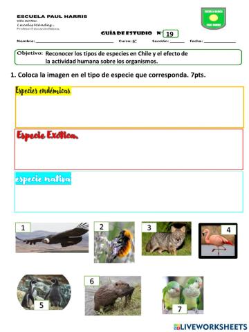 Guía 19: Especies en Chile. 6to A-B. 25-08-21