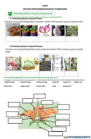 Perkembangbiakan vegetatif pada tumbuhan