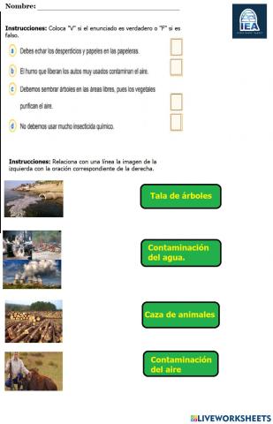Contaminación ambiental