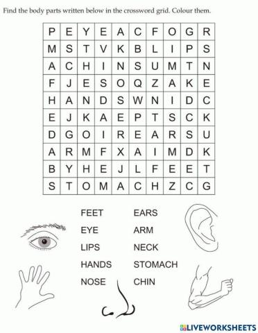 Vocabularies in english