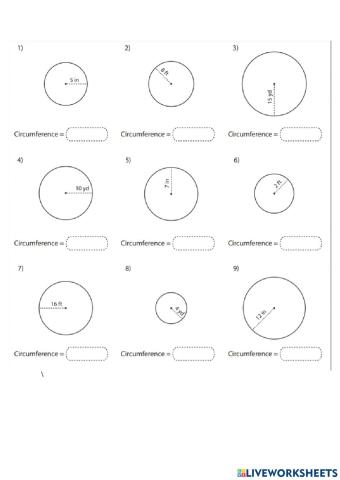 Circumference with Radius