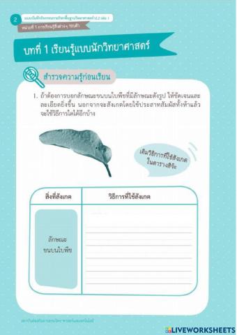 บทที่ 1 เรียนรู้แบบนักวิทยาศาสตร์ (สำรวจความรู้ก่อนเรียน)