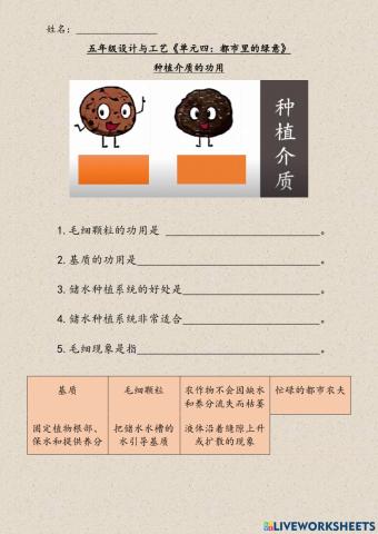 五年级设计与工艺《单元四：都市里的绿意》