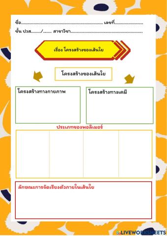 โครงสร้างเส้นใย