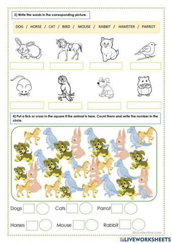Animal worksheet