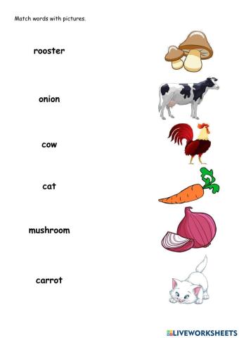 Mr Rooster and Friends