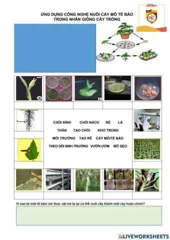 Bài 3. công nghệ 10. nuôi cấy mô tế bào