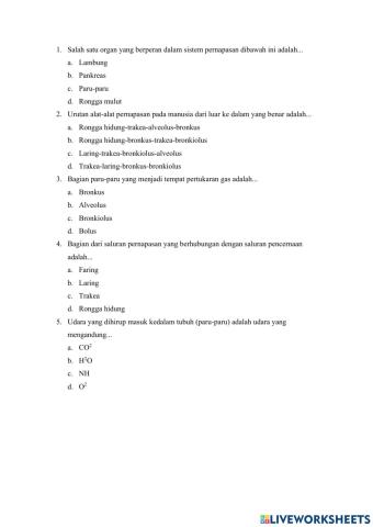 Sistem Pernapasan (1)