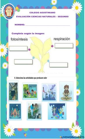 Evaluaciòn ciencias segundo