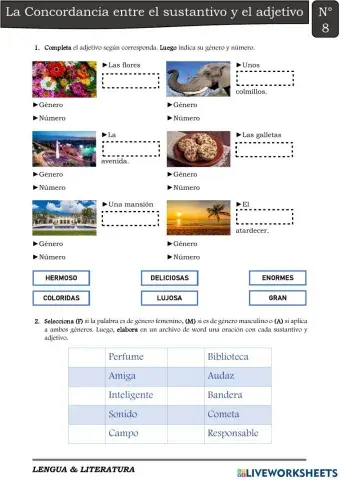 Sustantivo y el Adjetivo: Concordancia