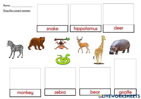Choose the correct answer according to the word given