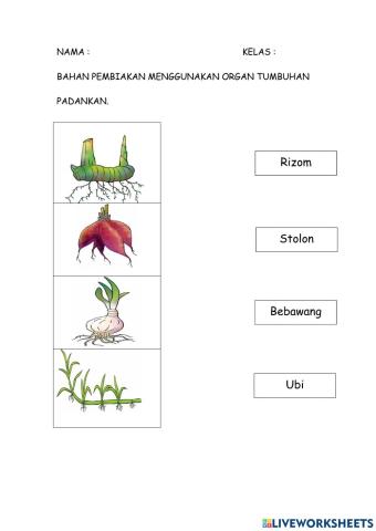 Bahan pembiakan menggunakan organ tumbuhan