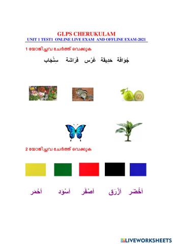 Arabic Std 2 Exam 1