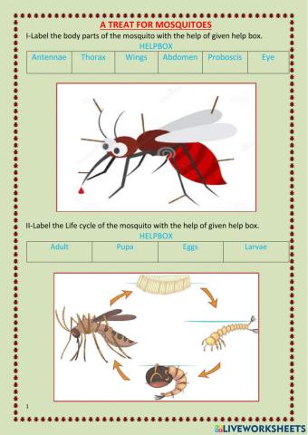 A treat for mosquitoes