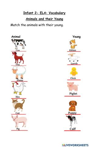 Animals and their Young
