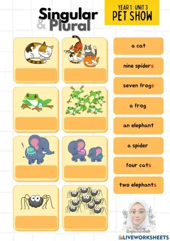 Unit 3: Pet Show (Singular & Plural) Page 1