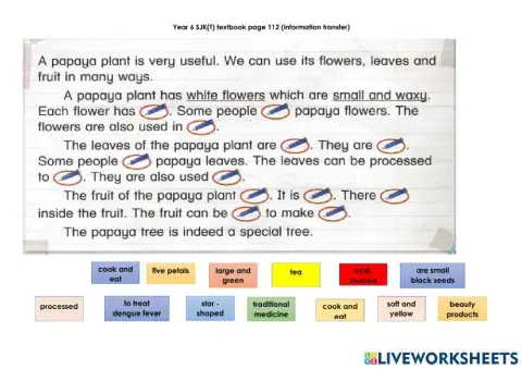 English Year 6 SJK (information transfer)
