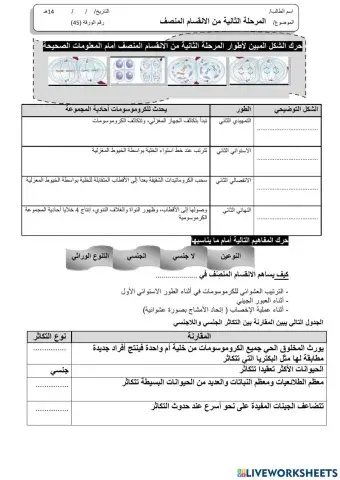 ورقة 45تفاعلية3