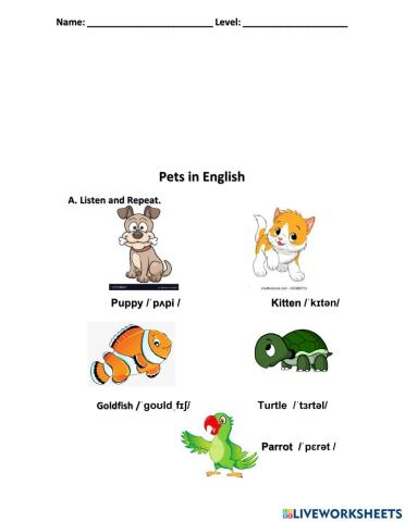 Pets in English