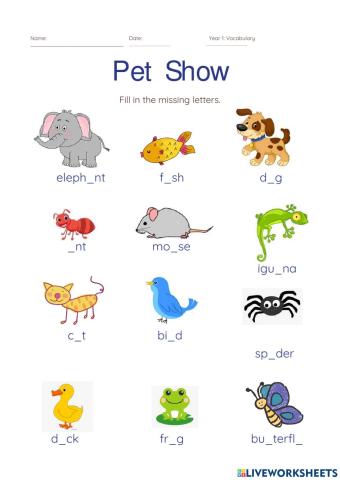 Year 1 Pet Show (Articles: a-an)