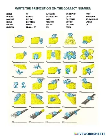 Prepositions vocabulary