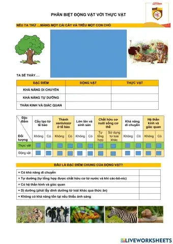 Bài 2. sinh 7. phân biệt động vật và thực vật