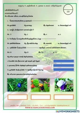 Std 6 science world of plants 2