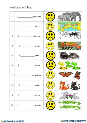 Pet show - like-don't like