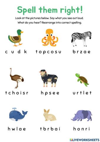 Spell them right! (Animals)
