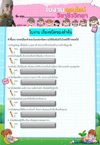 ใบงาน ชนิดของลำต้น