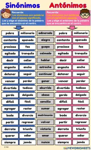 Sinónimos - antónimos