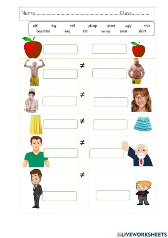 Fill opposite  Adjective