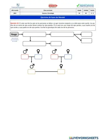 Ejercicio 19 - Leyes de Mendel