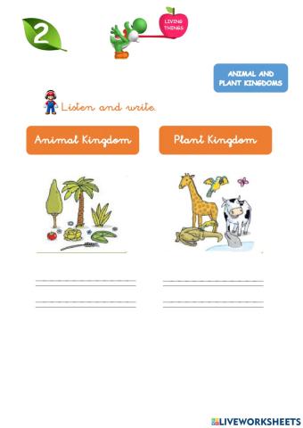 Animals and plants