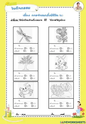 จำแนกแส่งมีชีวิต 2