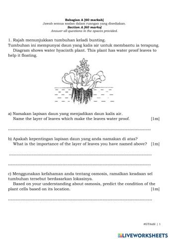 T5 Biologi K2 Bhgn A