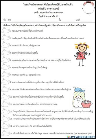 ระบบหายใจ 4