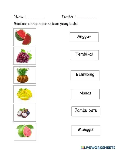 Buah-buahan