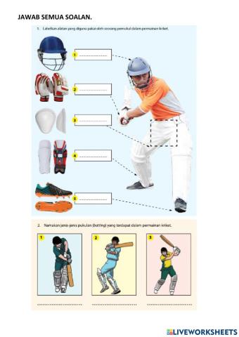 Alatan kriket tingkatan 2