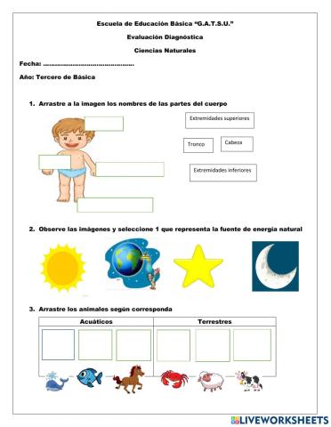 EVALUACIÓN DIAGNÓSTICA CCNN