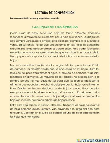 Lectura de comprensión