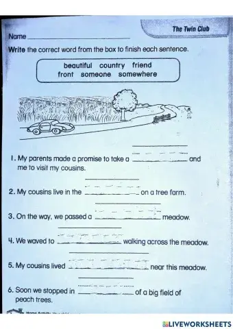 The Twin Club Vocabulary Worksheet