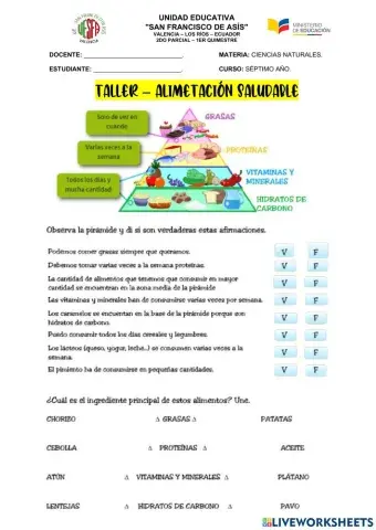 Piramide alimenticia