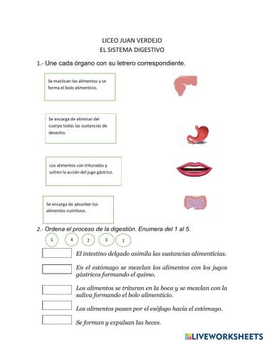 Evaluacion aparato digestivo