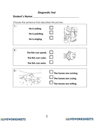 Elementary Diagnostic Test