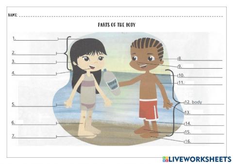 Parts of the body