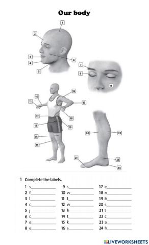 Our body