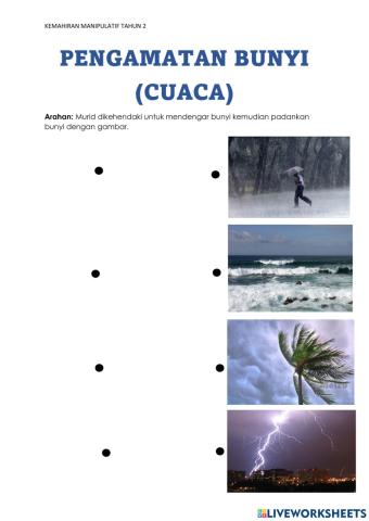 Pengamatan pendengaran