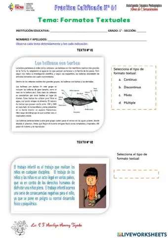 Práctica 01 - Formatos textuales