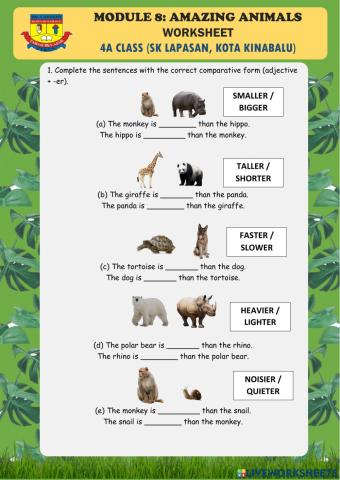Module 8: Amazing Animals Worksheet